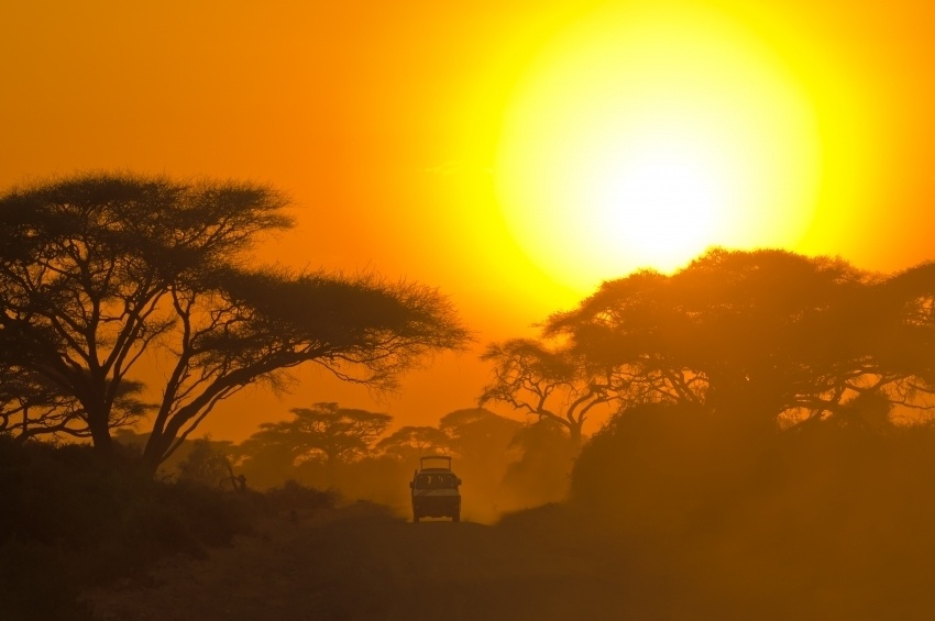 African-Safari