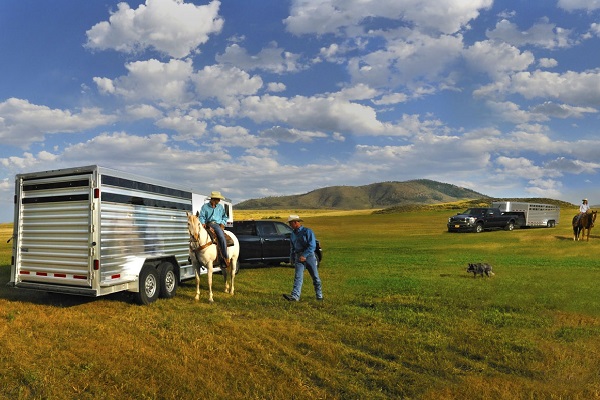 livestock-trailer