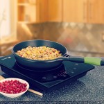 Portable-Induction-Cook-Top