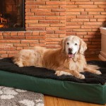 Pet Furniture For Dogs