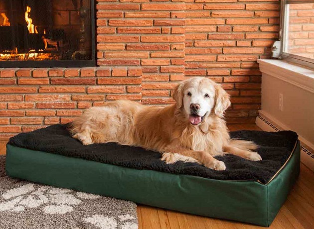 Pet Furniture For Dogs