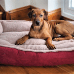 Dog-Beds-for-Sale