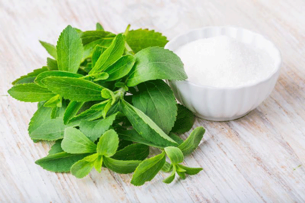 Sugar-Substitutes-Stevia