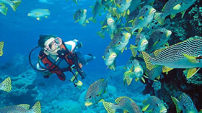 scuba-diving-1