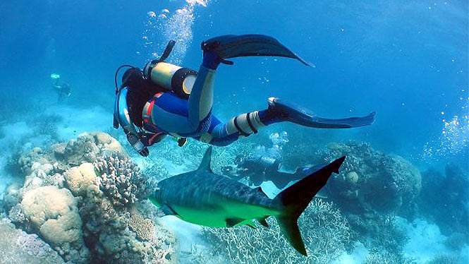 scuba-diving