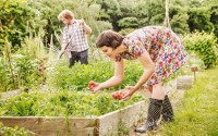 Garden Beds