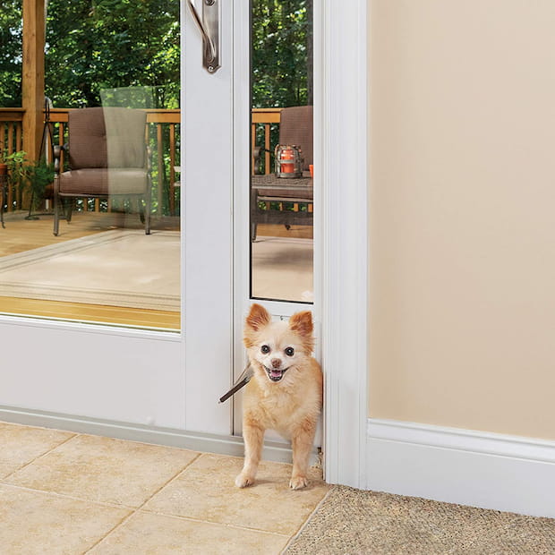 dog in front of the patio dog door