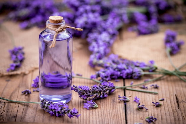 lavender-essential-oil