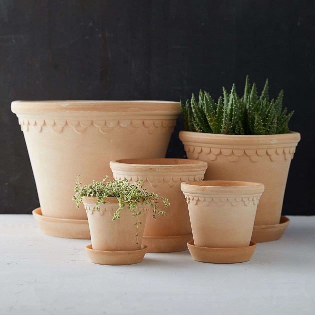 Terracotta Pots