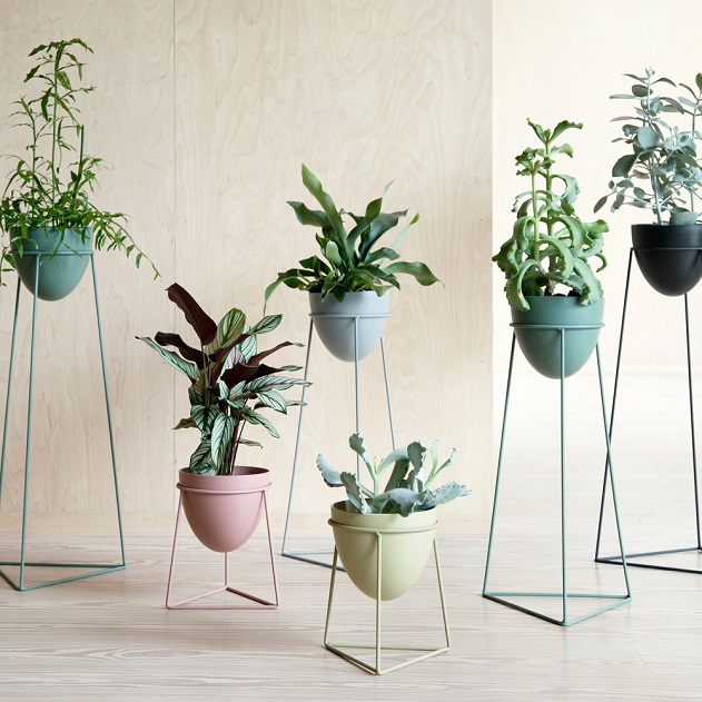 modern plant pots