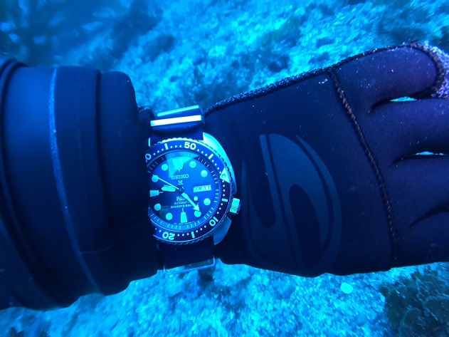 Dive Watches