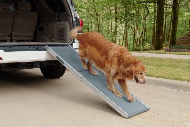 folding dog ramp