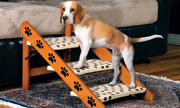 dog stairs