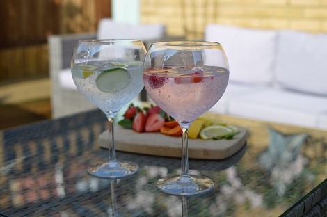 two glasses of gin and fruits