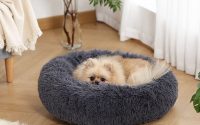 Donut-Shaped-Dog-Bed-Buying-Guide